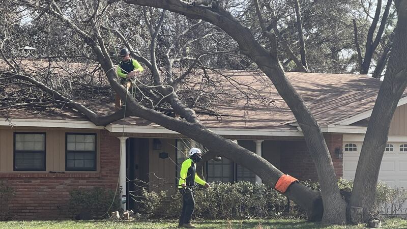 Las fuertes ráfagas de viento obligaron a un árbol a caer sobre el techo de una casa de...